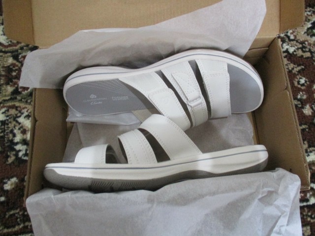 clarks brinkley coast