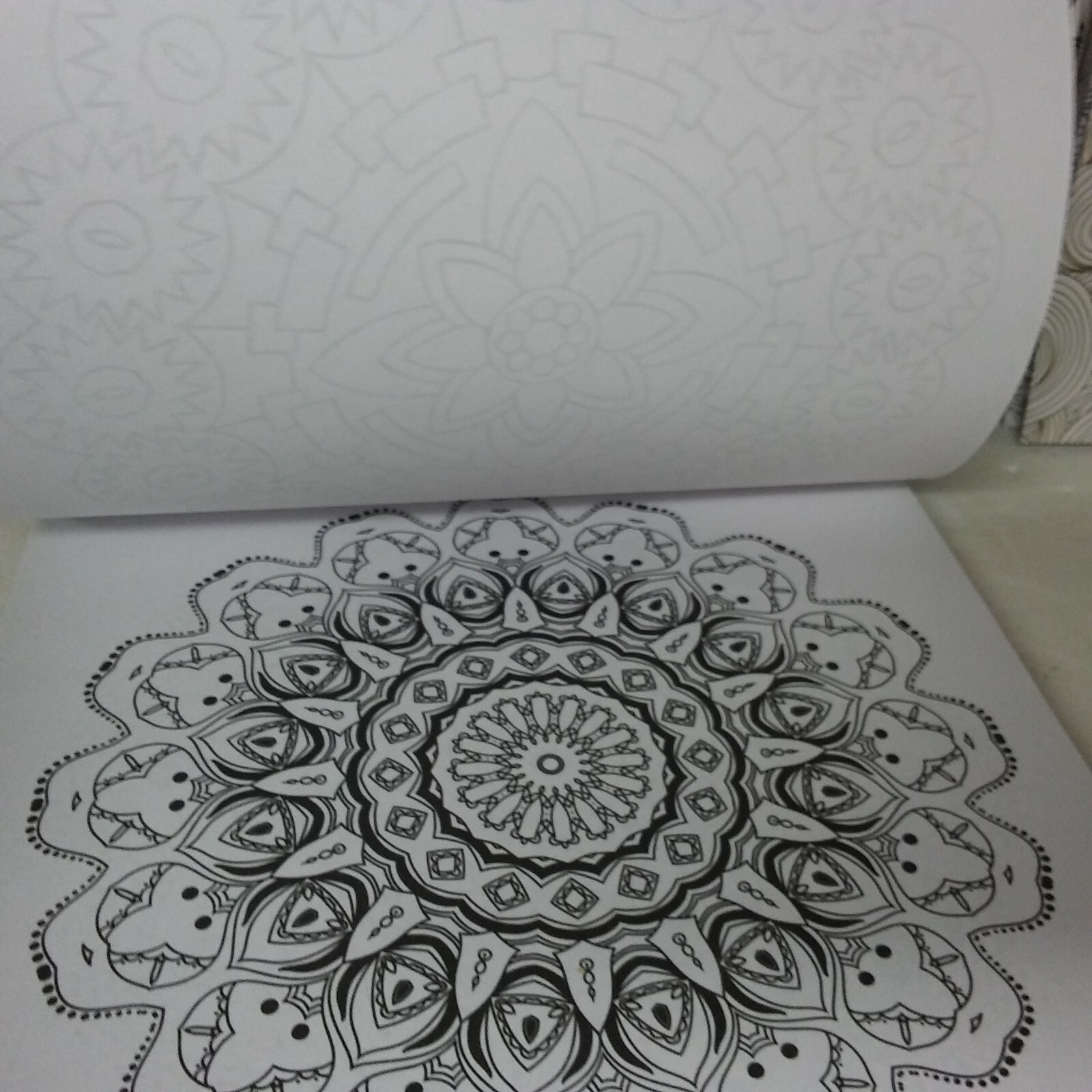 Picture 4 of 9