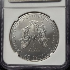 American Eagle MS 70 Graded 2013 Silver Bullion Coins for sale | eBay