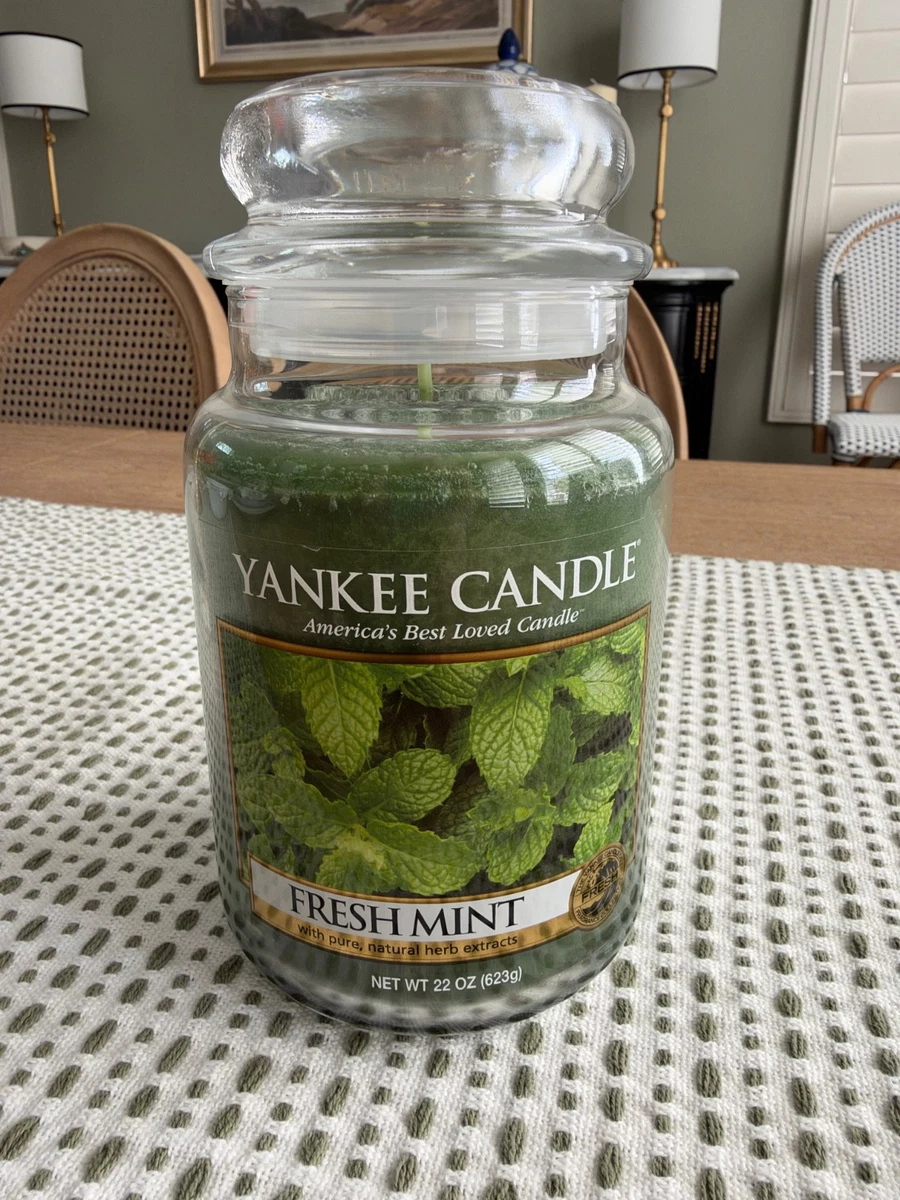 25+ Yankee Candle Fresh Mint for sale | Updated Oct 2026