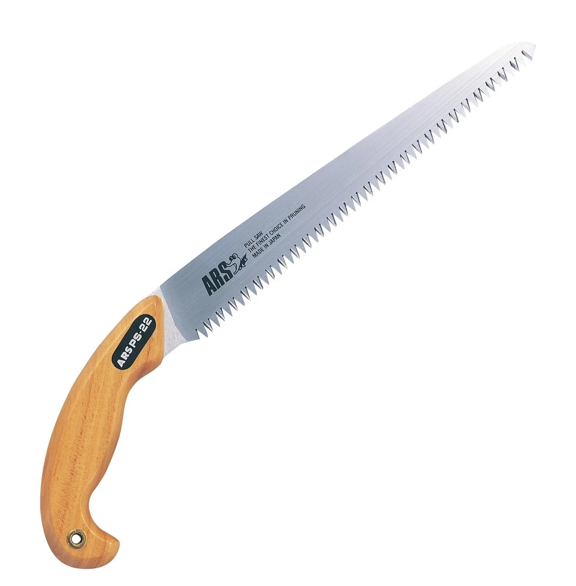 Ars 2024 pruning saw