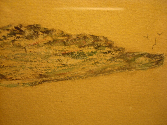 Picture 10 of 15