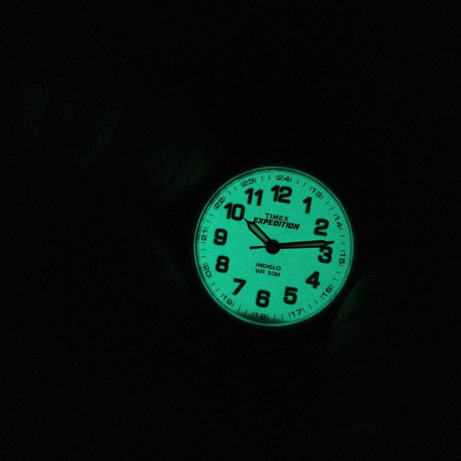 Picture 3 of 16