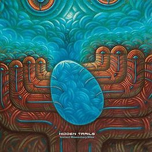 Hidden Trails Instant Momentary Bliss CD NUOVO