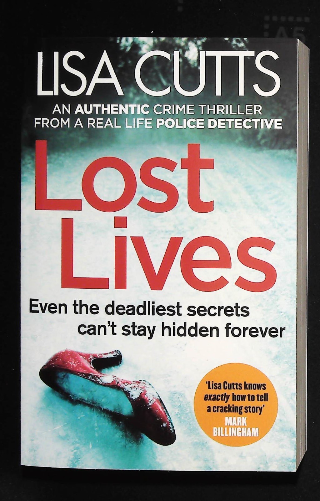 Lisa Cutts Lost Lives Book New Paperback