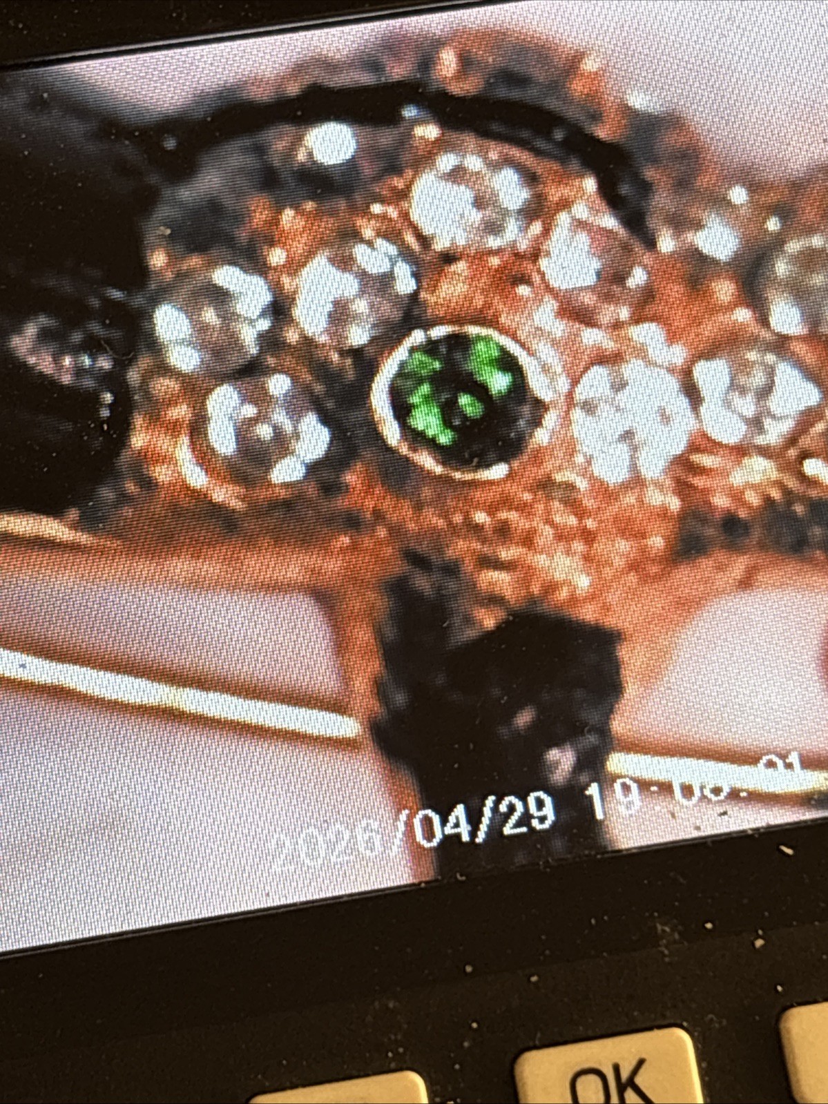 1960's Unsigned KJL Kenneth Jay Lane Rhinestone A… - image 21