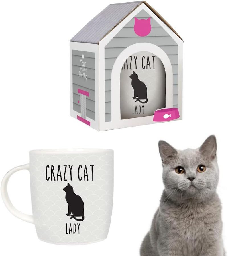 Black Cat Crazy Cat Lady Humorous Novelty Cat Mug Tea Coffee Cup with Gift Box