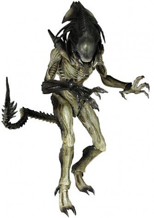 エイリアンALIENS vs PREDATOR REQUIEM フィギュア Amazon.com: Alien VS. Predator: Requiem NECA Action Figure