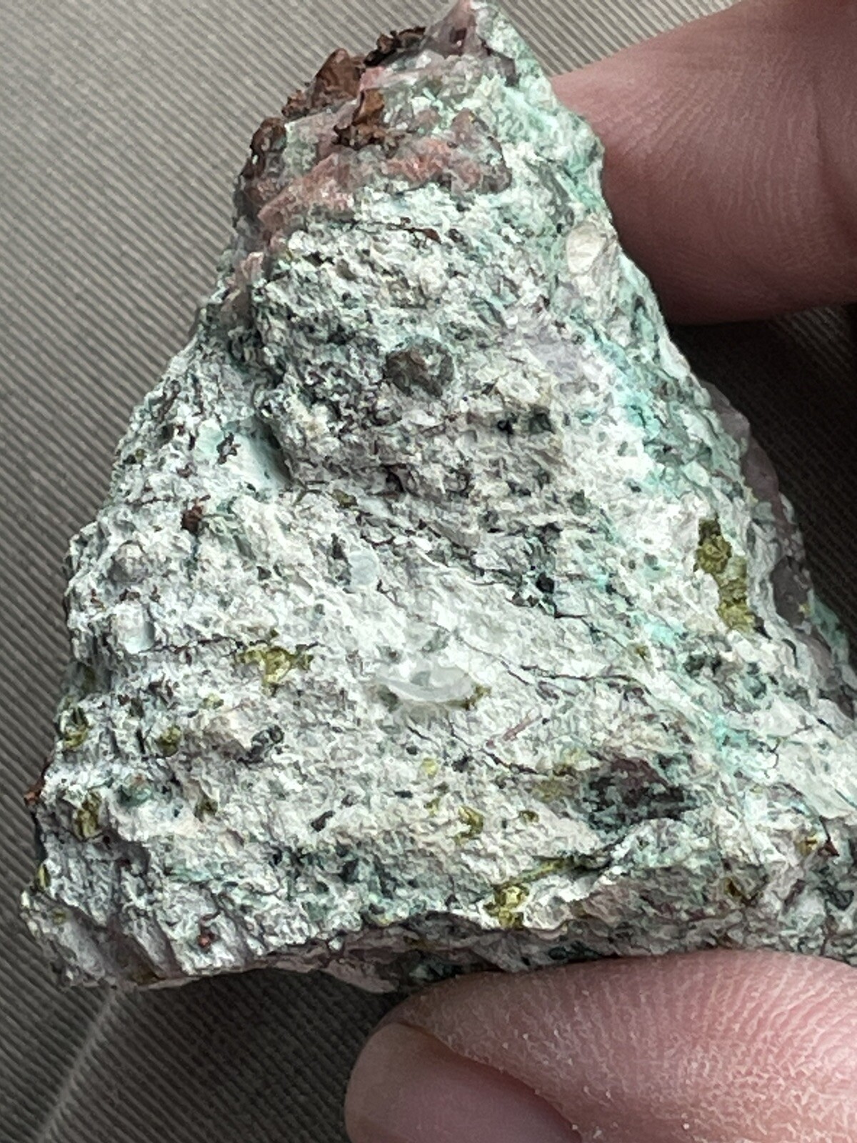 Picture 22 of 23