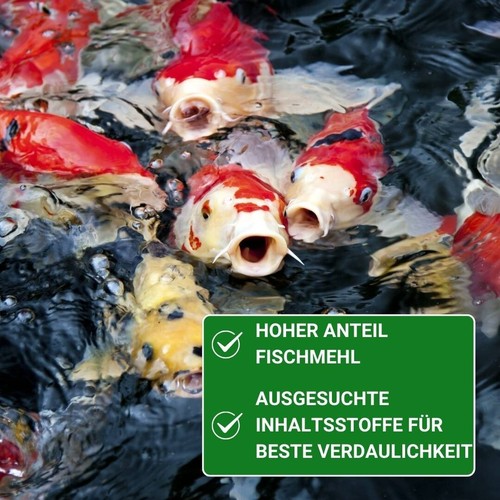 Koifutter 5 kg 6 mm Koi Futter Teichfutter schwimmend KENKOU BAKUDAI - Bild 6 von 10