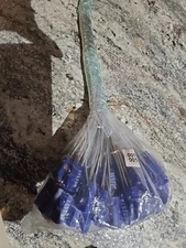 Security Cable Seals 100 PCS Blue Numbered Tamper Proof Steel Wire Seals