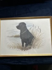 Large Framed Limited Edition Black Labrador Retriever Print James Rowe  405/750