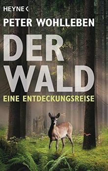 Der Wald: Eine Entdeckungsreise von Wohlleben, Peter | Buch | Zustand gut
