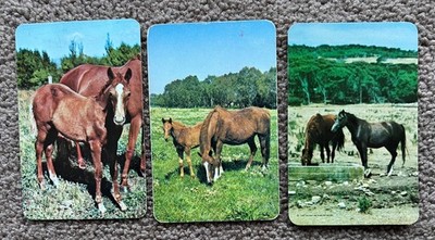 Original swap playing card blank back 70 s horses Valentine