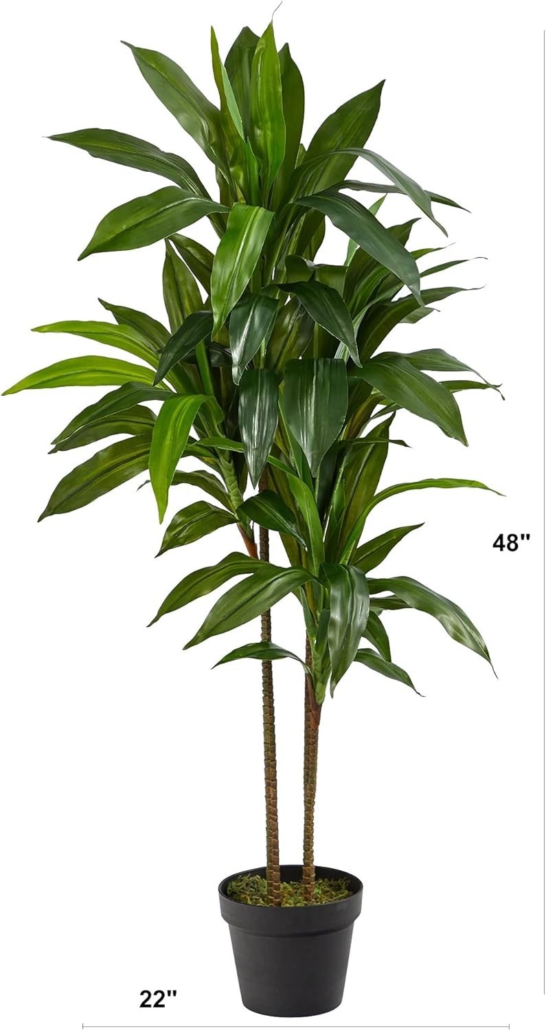 Slide 5