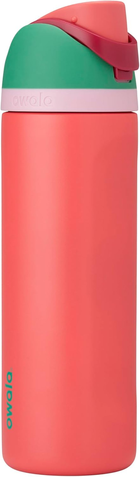 Freesip 24 Oz Insulated Stainless Steel Water Bottle with Straw - Black Cherry