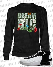 Dream Big Graphic Sneaker Tee Shirt Match Jump Man Pro Club Shaka Big Tall Sm T