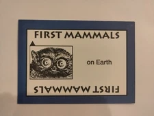 PERSPECTIVE Time Line Game 1992 card used FIRST MAMMALS World History free ship