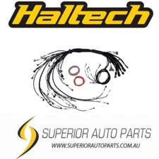 Haltech Nexus R5 LSx Non DBW Terminated Harness HT-186206