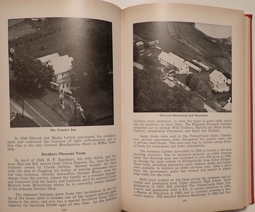 DAUPHIN COUNTY BERRYSBURG MIFFLIN TOWNSHIP HISTORY BIOGRAPHIES GENEALOGY - Bild 7 von 9