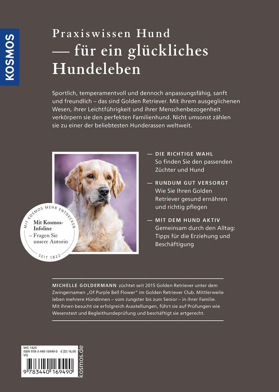 Thumbnail - Golden Retriever Michelle Goldermann