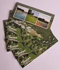 5qty Tamarack Lodge  5 1/2 X 7" Last Postcards Catskills NY Resort Golf Swimming