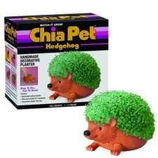 Chia Pet Hedgehog with Seed Pack, Decorative Pottery Hedgehog, Terra Cotta
