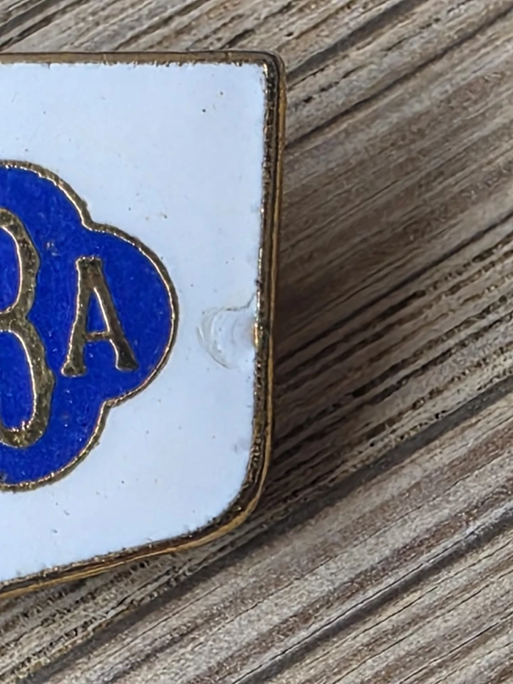 EBA English Bowling Association 75th Anniversary 1978 Enamel Pin Badge Bowls - Image 4 of 4