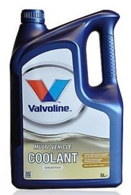 Valvoline MaxLife Konzentrat -37 KÜHLERFROSTSCHUTZ KÜHLFLÜSSIGKEIT 5L G12++