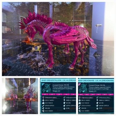 ARK ASCENDED PVE OFFICIAL PAIR BABY DREADMARE/DREADTALLION PINK PC/XBOX/PS5