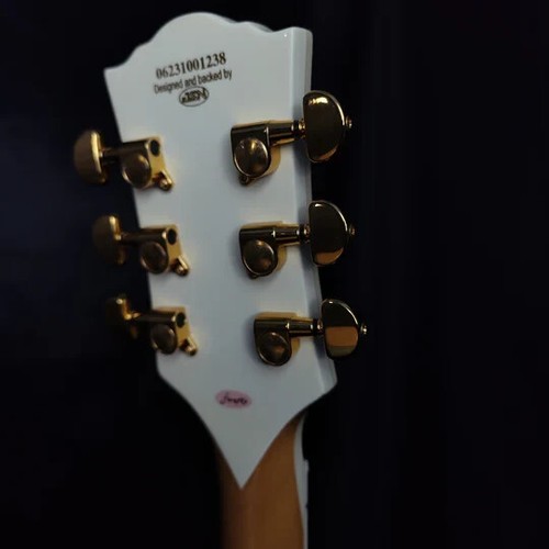 NEW Firefly 2 Pickups think Les Paul LUTHIER SET UP w/extras Beautiful-TARGET!! - 第 3/7 張圖片