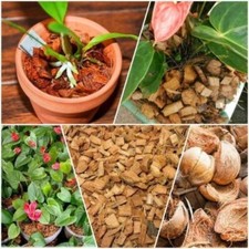 Coconut Husk Chips Orchids Anthurium Growing Dry Organic MediaFiber - Oko Ceylon