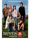 Weeds Tv show 55 separate, original clippings pages lot hunter parrish etc — photo 2