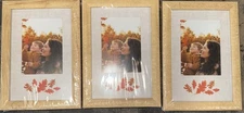 3 Target  Picture Frames Natural/Fall Leaves - Holds 3”x 4” Or 4”x 6” Picture