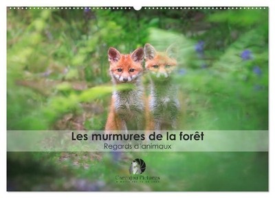 Les murmures de la forêt - Regards d'animaux (Calendrier mural 2026 DIN A2 verti