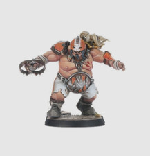 Warhammer Blood Bowl Dungeon Bowl Fire Mountain Gut Busters Ogre Blocker v3