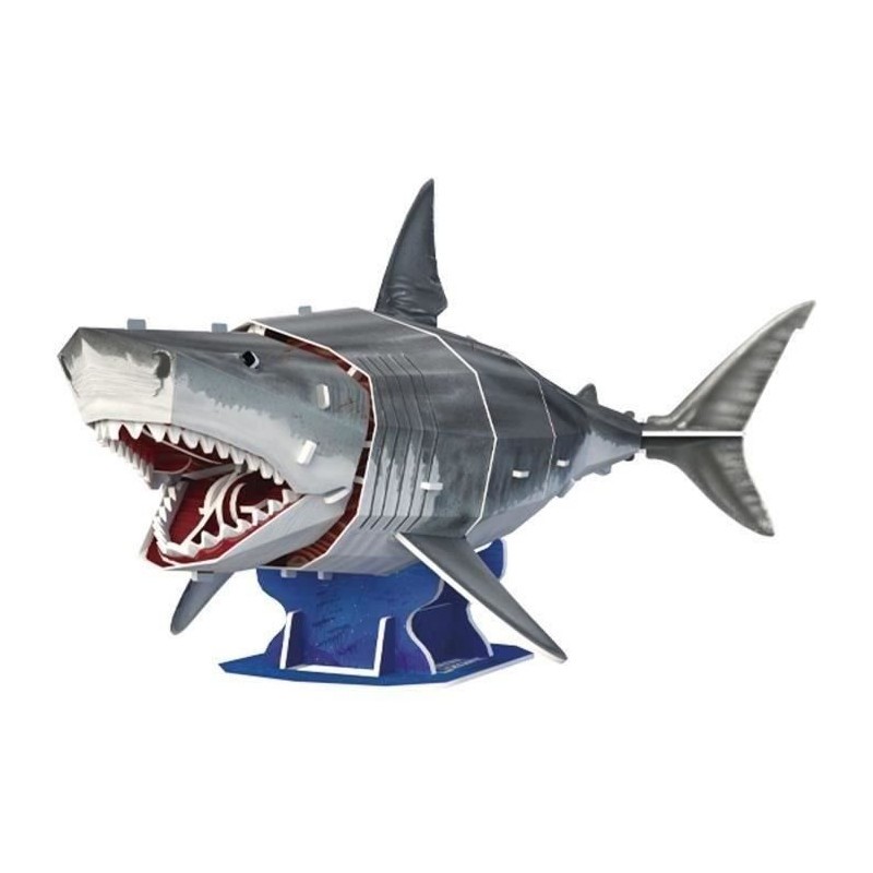 Puzzle 3D requin blanc EXPLORA maquette anatomique clipsable sans colle