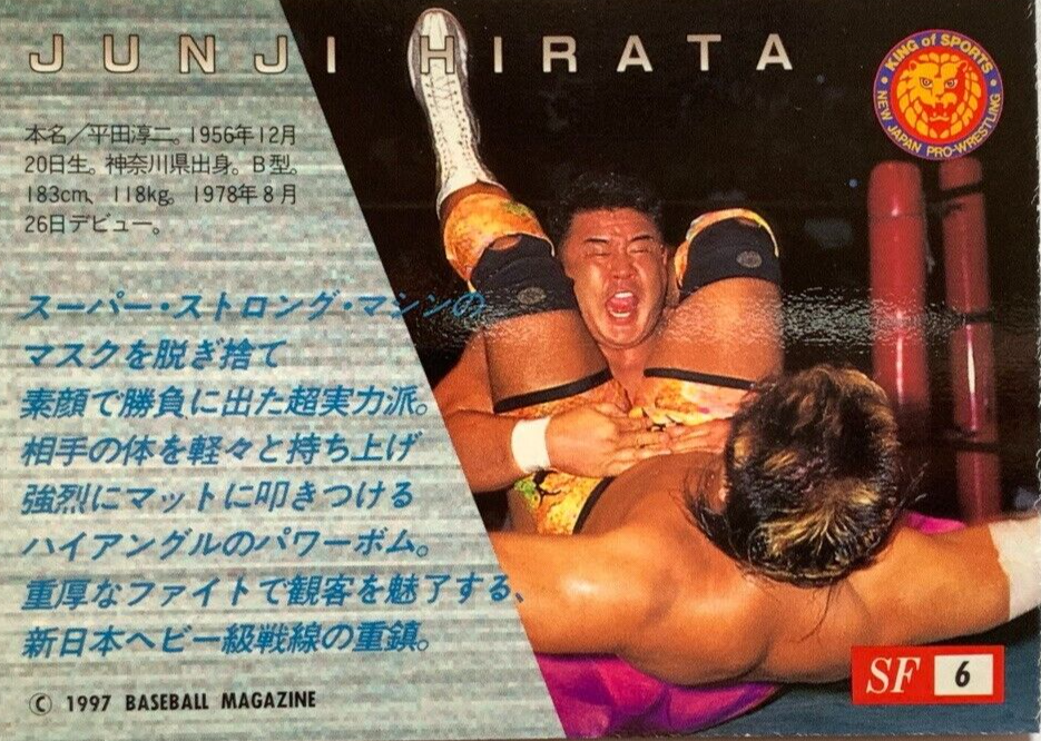 Junji Hirata SF 6 Pro-Wrestling BBM 1997 Fight magazine made in