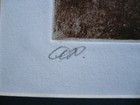 Bild 11 von 12