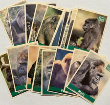 Zoo Atlanta The Atlanta Journal Atlanta Constitution 1995 Gorilla Trading Cards