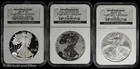 2006 20th Anniv American Silver Eagle Set NGC Reverse Proof 70 PF 70 MS 70 | PR