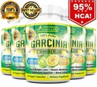 5 Pack GARCINIA CAMBOGIA 95% HCA Diet Pills Weight Loss Fat Burner 3000mg
