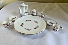 Miniature Porcelain 10 pc Tea Set w/Rose Pattern