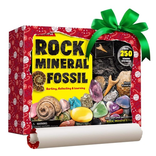 Rocks Minerals & Fossils Collection for Kids 250+ Real Gemstones and Crystals & - Picture 6 of 6