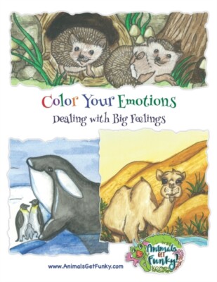 Dumont - Color Your Emotions  Dealing with Big Feelings - New paperbac - X555z