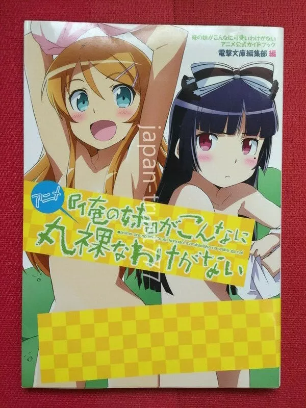 Anime Ore no Imouto ga Konna ni Kawaii Wake ga Nai / Oreimo Official Guide  Japan | eBay