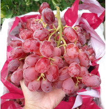Exotic Premium Grape 100 Seedss Vitis vinifera var. Crimson Grape