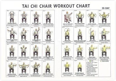Tai Chi Chair Workout Chart, Chair Tai Chi for Seniors Wall Chart with Illustrat
