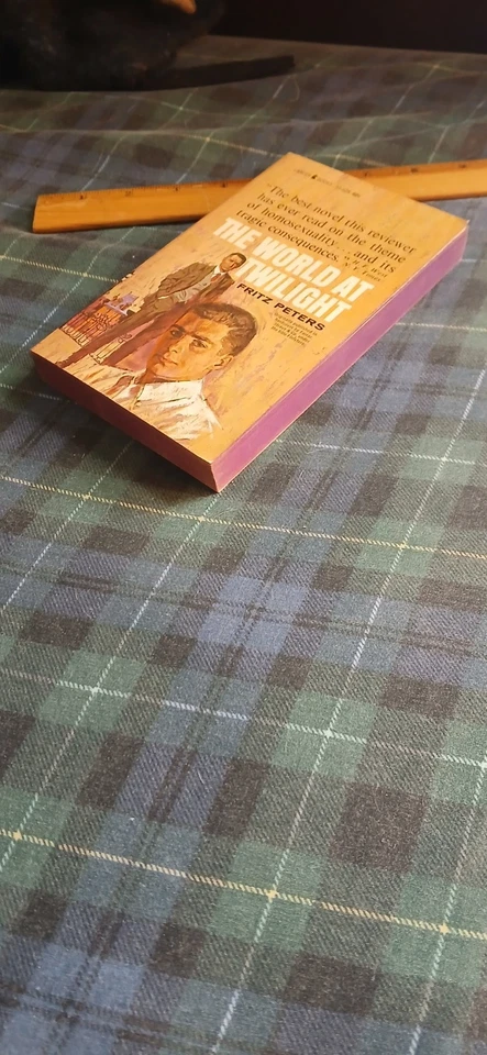 THE WORLD AT TWILIGHT 1964 VINTAGE PULP NOVEL GAY INTEREST LANCER BOOKS 73-428 - Image 4 of 4