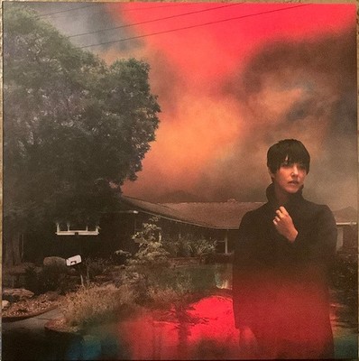 Sharon Van Etten - We've Been Going About This All Wrong (LP) (Mint (M)) - 34731